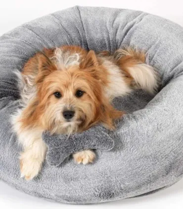 Panier pour chien Donuts dans un intérieur élégant.