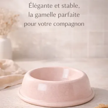 gamelle chien stable ceramique rose resistante facile entretien