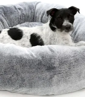 Lit Donuts confortable pour chien – vue de face.