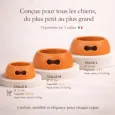 Gamelle pour chien design orange - Antidérapante & écologique
