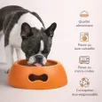 Gamelle pour chien design orange - Antidérapante & écologique