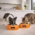 Gamelle pour chien design orange - Antidérapante & écologique