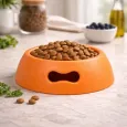 Gamelle pour chien design orange - Antidérapante & écologique