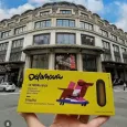Moelleux immunité pour chien Delamour