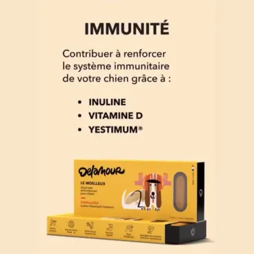 patisserie-chien-immunite-delamour