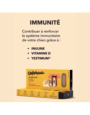 patisserie-chien-immunite-delamour