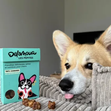 Pépites au canard pour chien - Delamour
