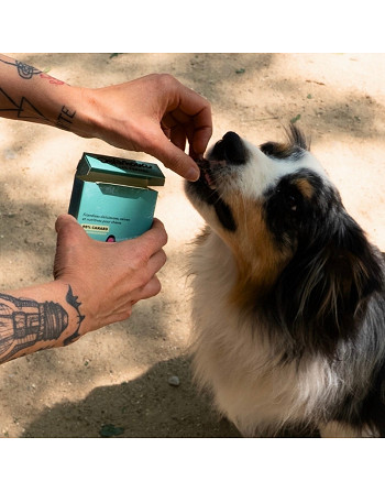 pepites-canard-naturelles-chien-bella-concept-store-dog