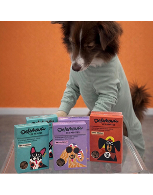 friandises-chien-education-recompense