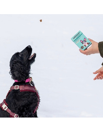 pepites-canard-naturelles-chien-bella-concept-store-dog