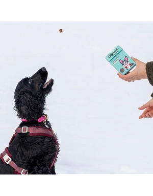 friandises-chien-air-dried-naturelles