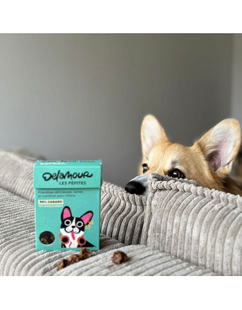 pepites-canard-naturelles-chien-bella-concept-store-dog