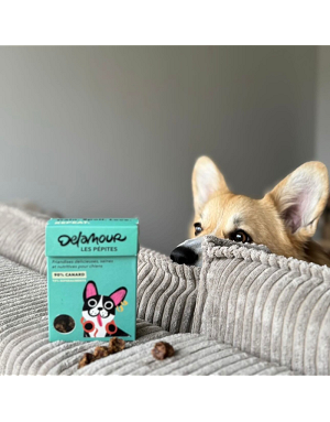 snack-chien-format-nomade-pratique