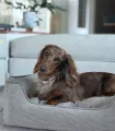 Panier confortable beige pour chien – vue en situation.