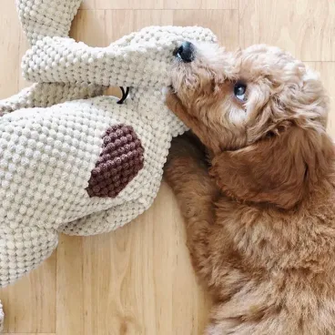 peluche-chien-confort-reconfort