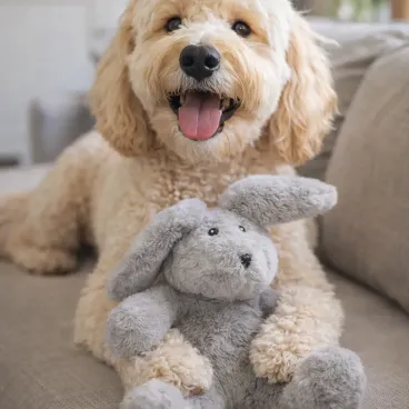 doudou-chien-lapin