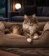 Panier en velours côtelé beige avec chat – couchage chien et chat.