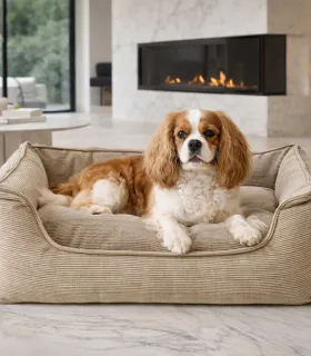 Panier pour chien beige dans un intérieur élégant.