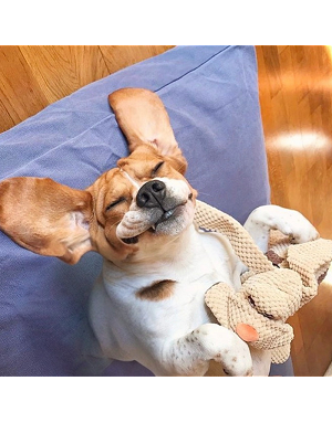 jouet-chien-chiot-doux