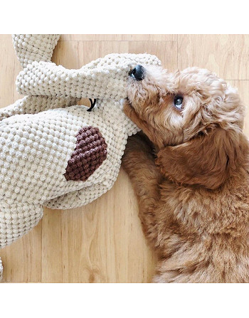 jouet-peluche-chien-floppy-dog