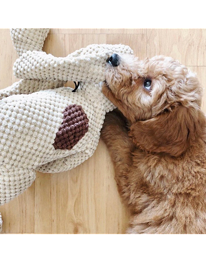 peluche-chien-confort-reconfort