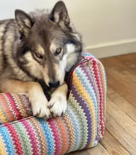 Panier ZigZag pour chien – couchage confortable et moelleux.