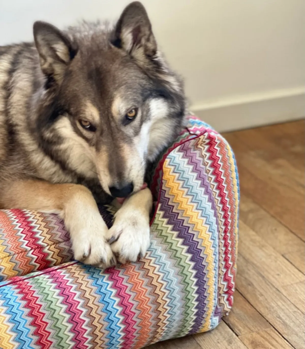 Panier ZigZag pour chien – couchage confortable et moelleux.