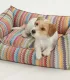 Petit chien dans le panier ZigZag – couchage haut de gamme