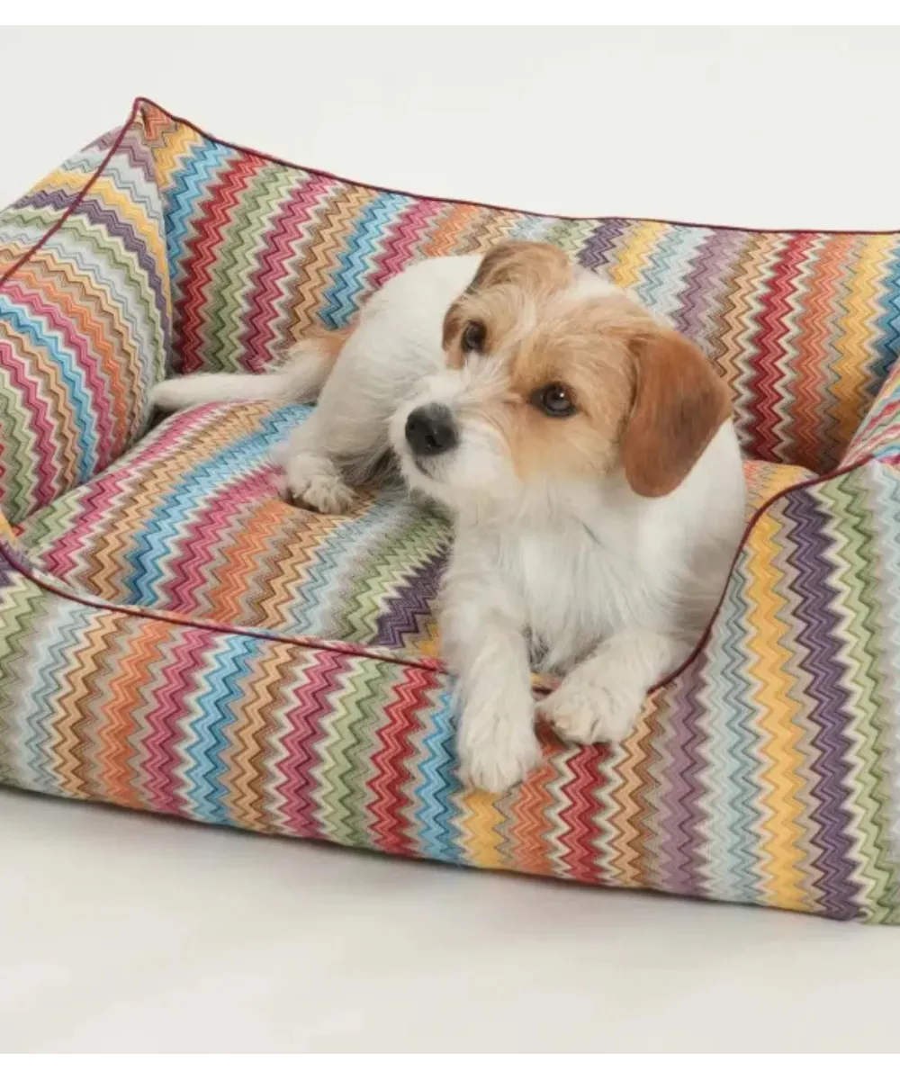 Petit chien dans le panier ZigZag – couchage haut de gamme