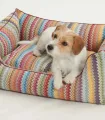 Petit chien dans le panier ZigZag – couchage haut de gamme