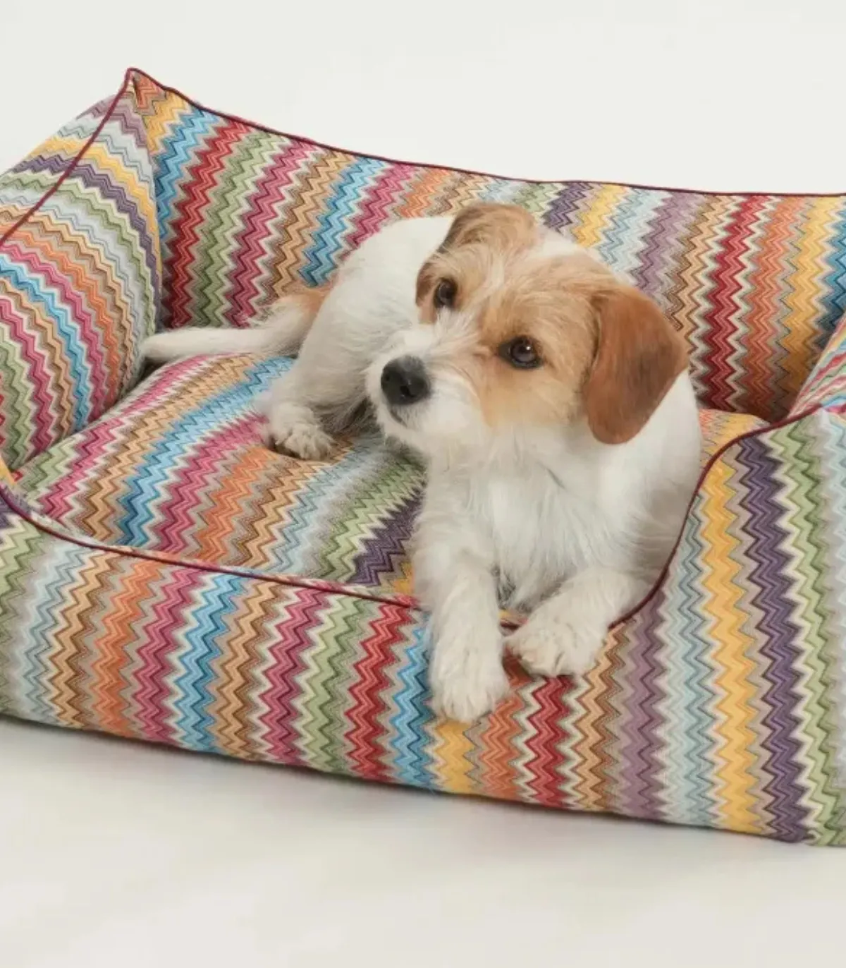 Petit chien dans le panier ZigZag – couchage haut de gamme