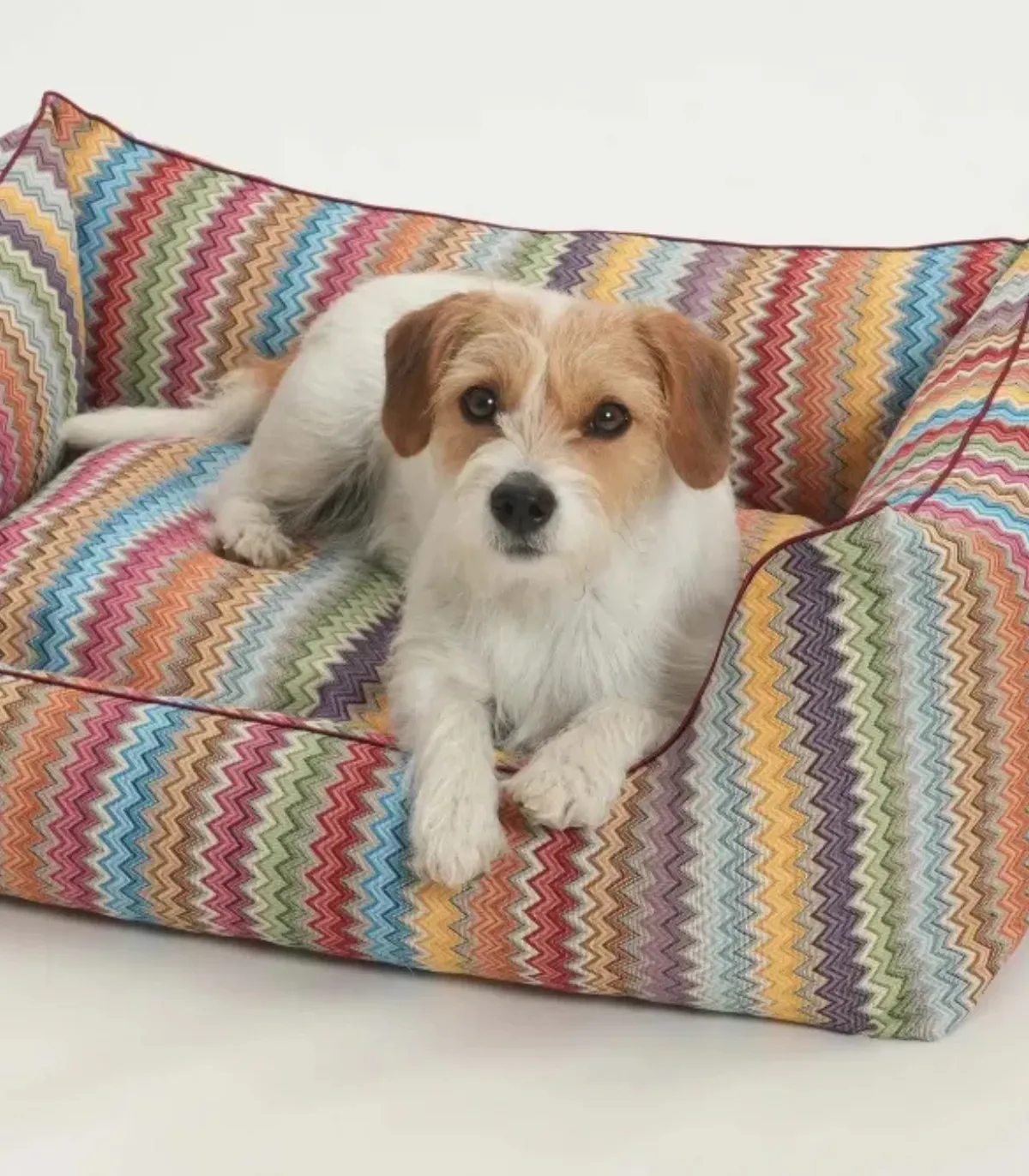 Panier pour chien ZigZag multicolore – couchage design