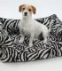 Panier cocon zèbre design pour chien - Confort orthopédique