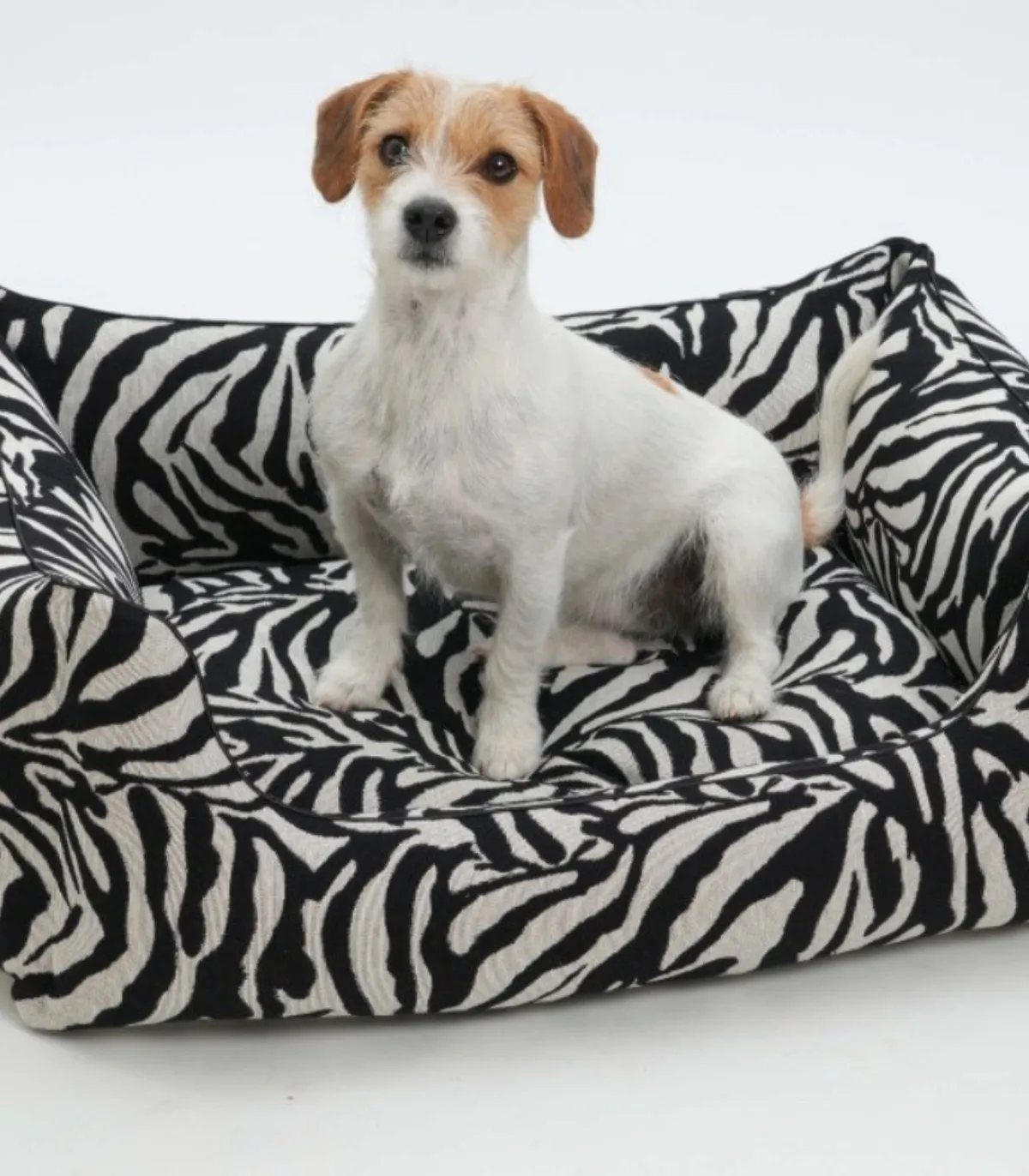 Panier cocon zèbre design pour chien - Confort orthopédique