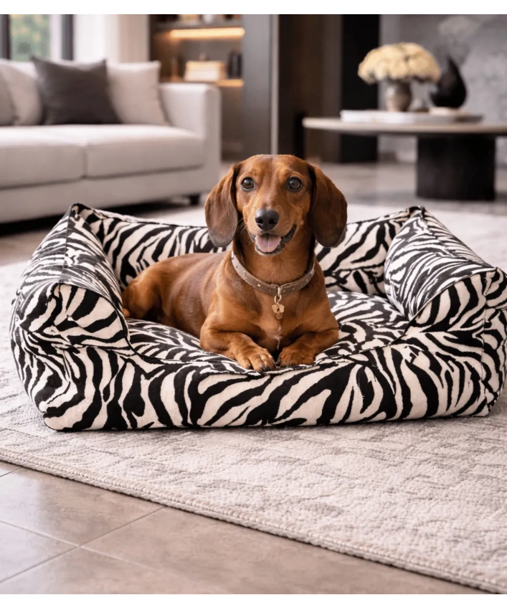 Panier cocon zèbre design pour chien - Confort orthopédique