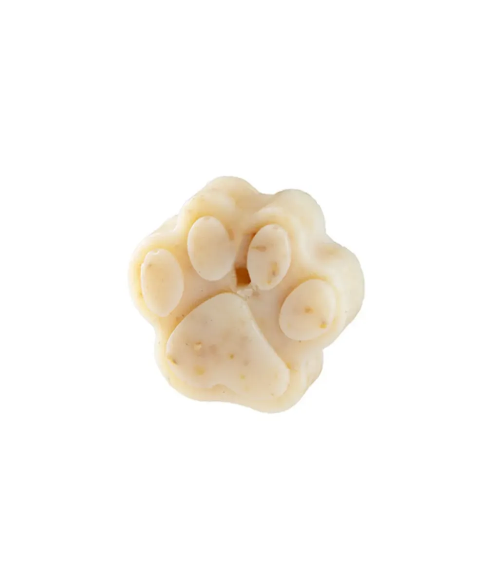 Savon bio Corse pour chiens Canacciu - Bella Concept Store Dog.