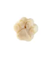 Savon bio Corse pour chiens Canacciu - Bella Concept Store Dog.