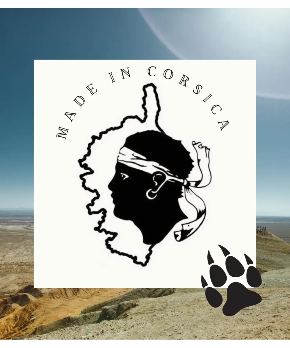 Logo Made in Corsica avec tête de Maure et empreinte de patte, savon Bulabuledda pour chien.