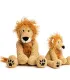 Peluche lion pour chien et son petit frère, assis sur fond blanc