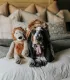 Basset hound sur un lit à côté de sa peluche lion