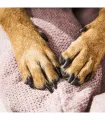 Lit orthopédique & lavable pour chien rose Tudor