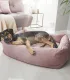 Chien noir et feu allongé dans un lit pour chien rose design, dans un salon lumineux