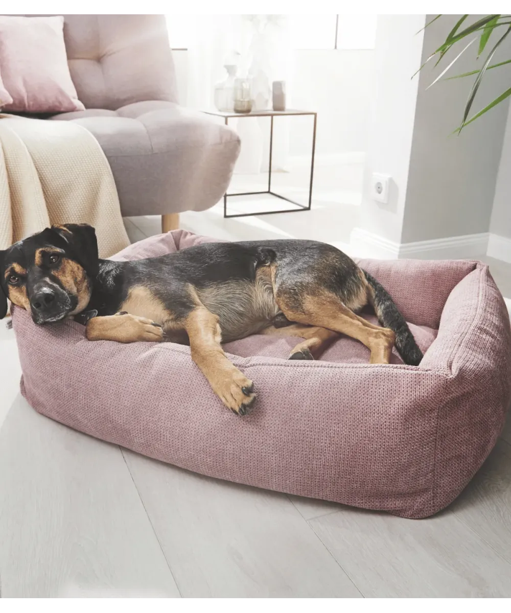 Chien noir et feu allongé dans un lit pour chien rose design, dans un salon lumineux
