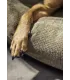 Pattes d'un chien posées sur le tissu d'ameublement texturé d'un panier pour chien vert olive Tudor