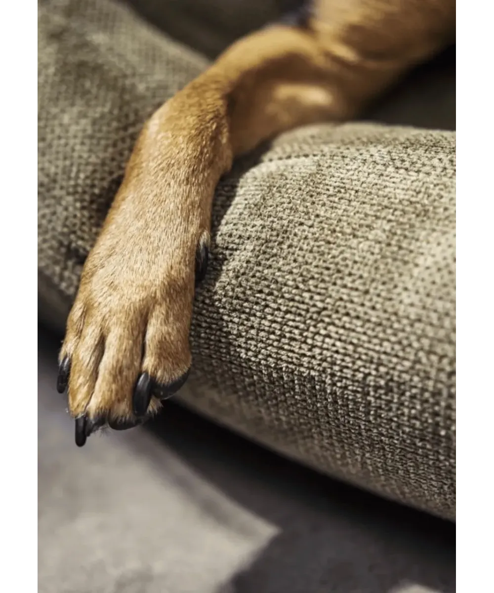 Pattes d'un chien posées sur le tissu d'ameublement texturé d'un panier pour chien vert olive Tudor