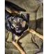 Portrait d'un chien noir et feu dans un panier pour chien orthopédique vert olive Tudor