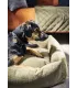 Chien noir et feu allongé dans un panier pour chien design vert olive Tudor aux bords matelassés