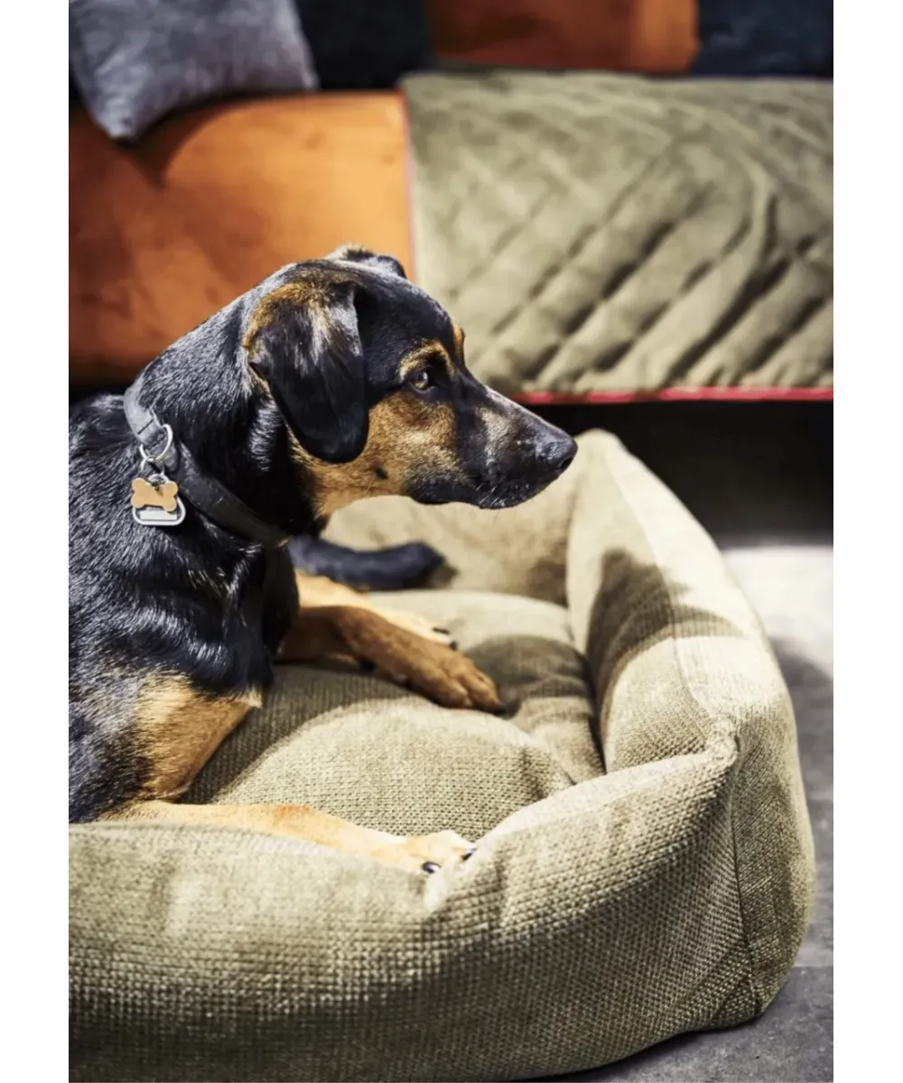 Chien noir et feu allongé dans un panier pour chien design vert olive Tudor aux bords matelassés