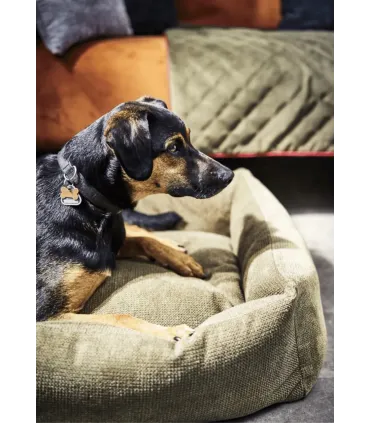 Chien noir et feu allongé dans un panier pour chien design vert olive Tudor aux bords matelassés
