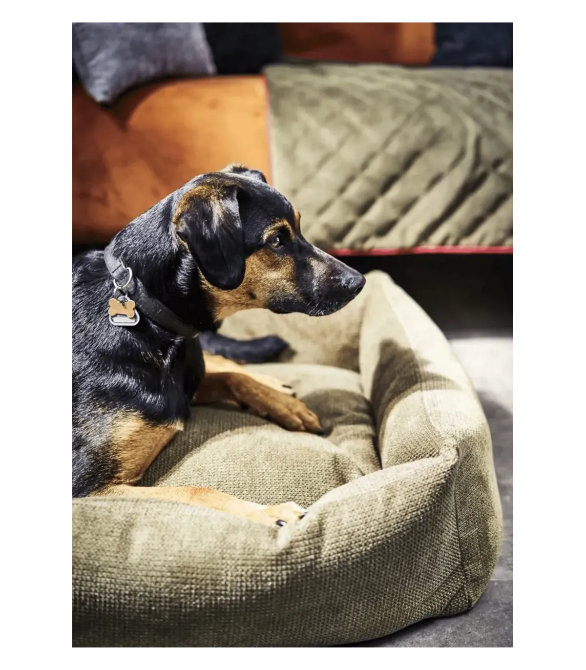 Chien noir et feu allongé dans un panier pour chien design vert olive Tudor aux bords matelassés